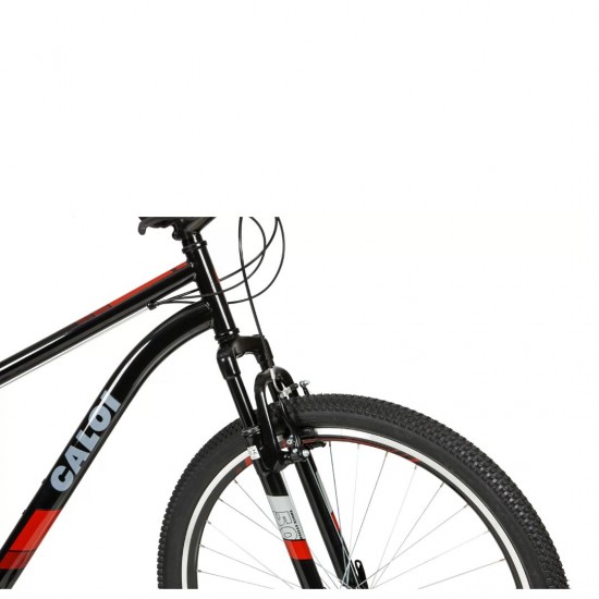 Bicicleta T17R29V21 TWO NINER