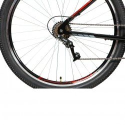 Bicicleta T17R29V21 TWO NINER